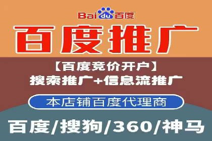 实战经验：SEM网络推广打造行业领军品牌